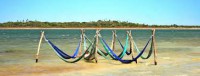 /album/es-pedra-furada-arvore-da-preguica-lagoa-do-paraiso/es-images-8-jpeg/